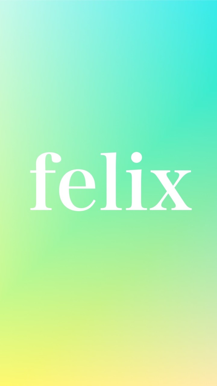 felixグループ 副業・在宅ワーク・資金調達