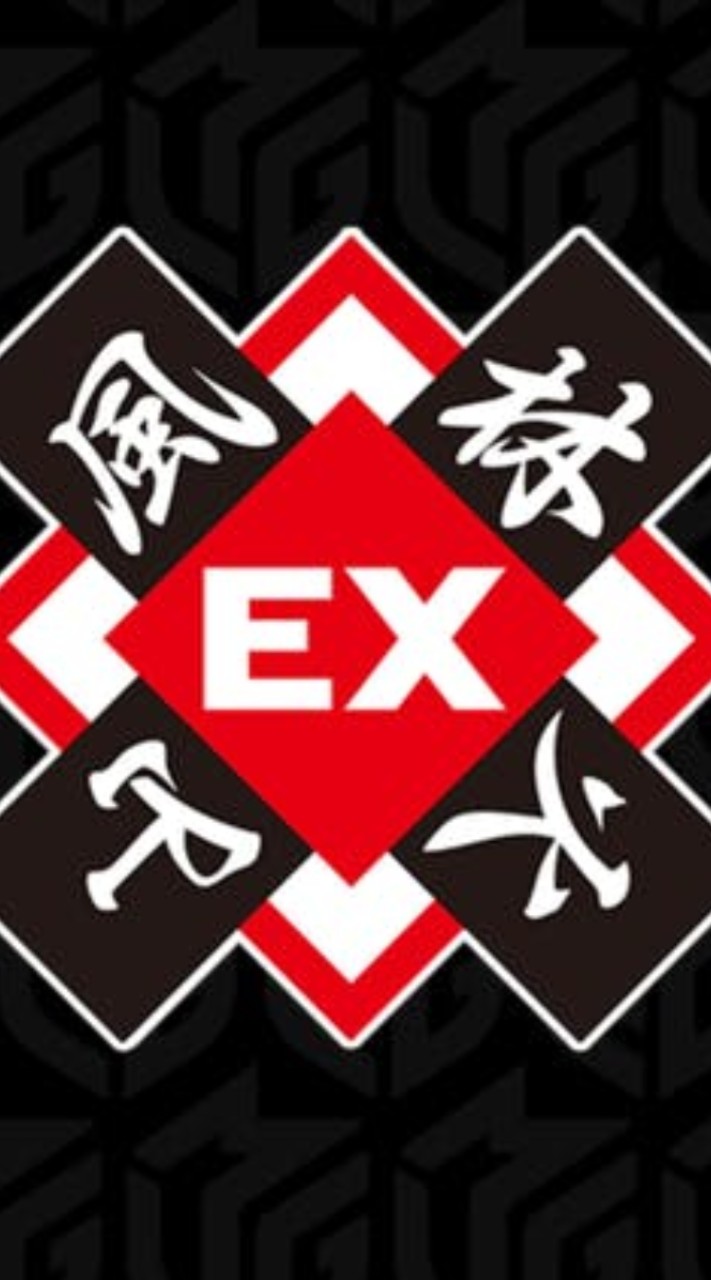 EX風林火山の炎護舞隊、るみあきchanねるのニカイダーの会