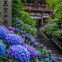 神社仏閣・美術館・自然・グルメ・日々の日常を語ろう会