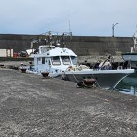 群鉅號釣況分享