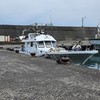 群鉅號釣況分享