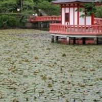 カッパの住む池 🥒