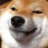 弘光聊天群