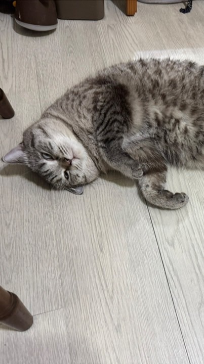 你買了嗎？