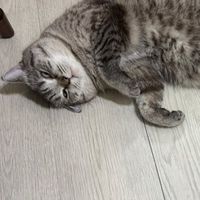 你買了嗎？