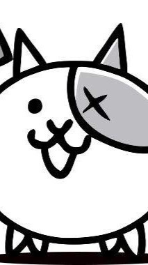 战斗猫的群