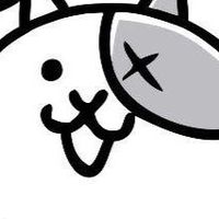 战斗猫的群