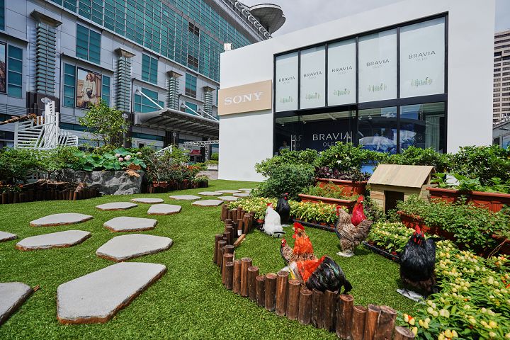 響應柯文哲田園城市政策，Sony 打造亞洲唯一 BRAVIA House 綠化建築限定店