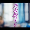 乃木坂46好きな人