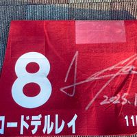 ロードデルレイの事だけを考える