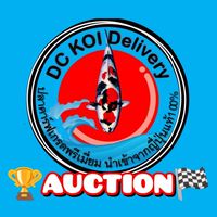⛩️DC KOI Auction🇯🇵🏆