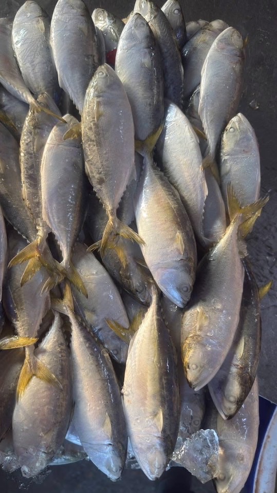 เจ้เล็กมหาชัยบึงกาฬ