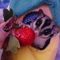 暴れん坊ﾉいろはの保護施設♏️🐇💕