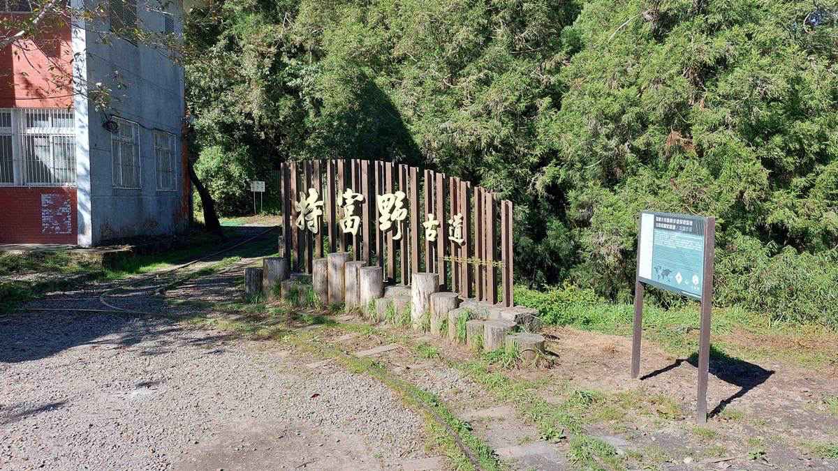 嘉義最美「森林鐵道步道」回歸！懷舊鐵軌＋柳杉樹海仙氣爆棚，週末踏青首選