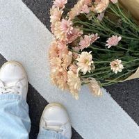 🔍ˑ̶͙⑅ᚐ𓈒 ᴄᴏᴍᴛᴏɴᴇ & ᴀʀᴛᴡᴏʀᴋ 𓋭̶͙ 💨