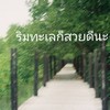 เพลงบันดาลใจ