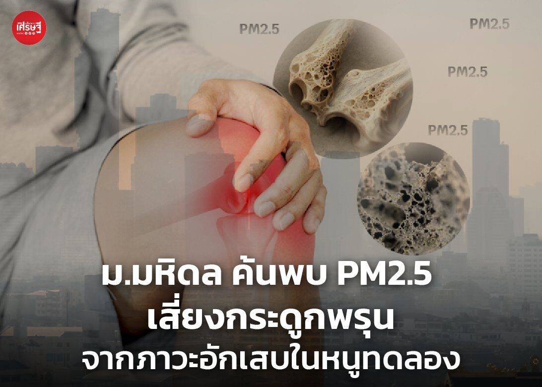 PM2.5 Increases Risk of Osteoporosis in Laboratory Rats, Mahidol University Study Finds