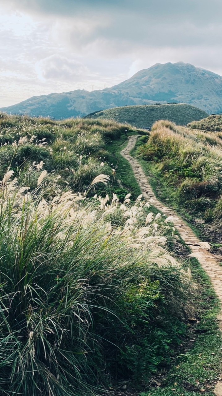 Hiking!肉腳健腳登山趣