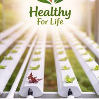 HEALTHY FOR LIFE 🍃