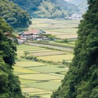 田心姐說茶（台中16：00）