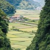 田心姐說茶（台中16：00）