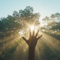 kind to nature | みんなのひろば