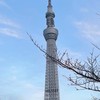 日本🇯🇵不專業代購
