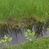 豊かな暮らし🌱熊野うたま