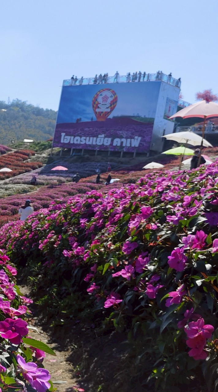 รวมญาติ