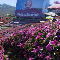 รวมญาติ