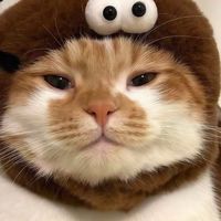 尚築實業