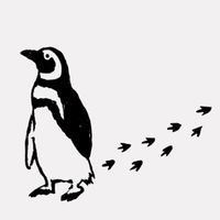 ファーストキャリコン🐧