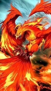 天M 不死鳥交友群