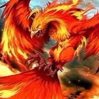 天M 不死鳥交友群