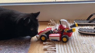 《Mariokart Live》已經出貨，貓：竟敢在太歲頭上動土！