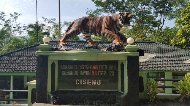 Unduh 500 Koleksi Gambar Harimau Garang Paling Baru Gratis HD