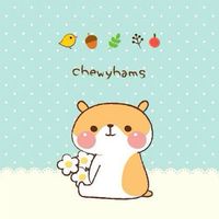 การงานอาชีพ ม.3/3