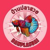 บ้านปลาสวยBanplasuai