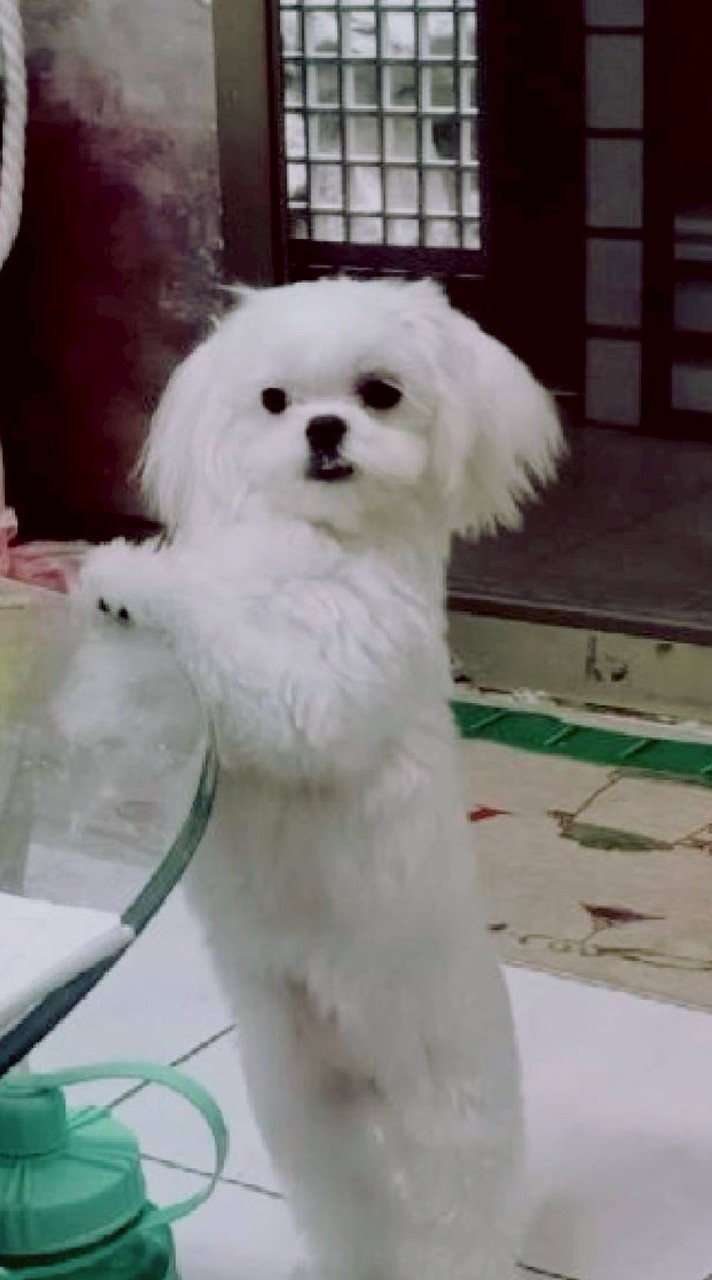 關於我們
