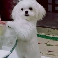 關於我們