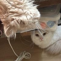 🍾うーに💋