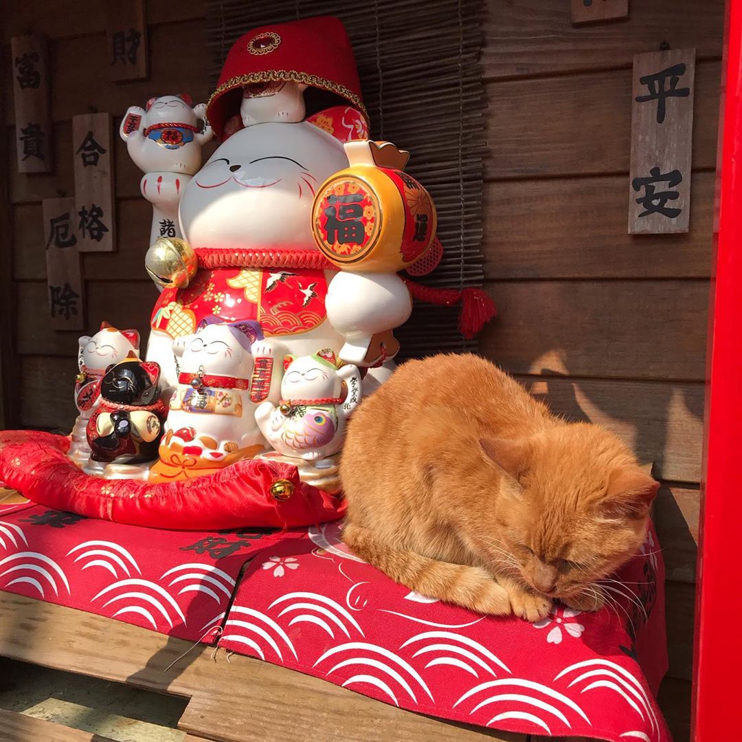 九份老街伴手禮 九份老街伴手禮｜精選 6 家特色紀念品店，「藝」起玩九份，來點不一樣的伴手禮吧！ 1 2022