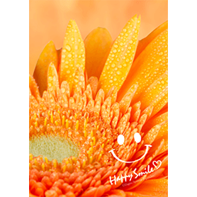 幸せな気持ちになれるガーベラの着せかえ♪