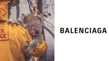 我還不買爆？Balenciaga 推出「無尾熊限定 Tee」 收益將全數捐出「聲援澳洲大火」！