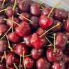 北大水果𝐱夏冰冬鍋𝐱團購批發群