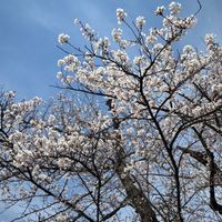 ⚠️休止中です⚠️[現在産婦人科医不在です］相談/質問部屋