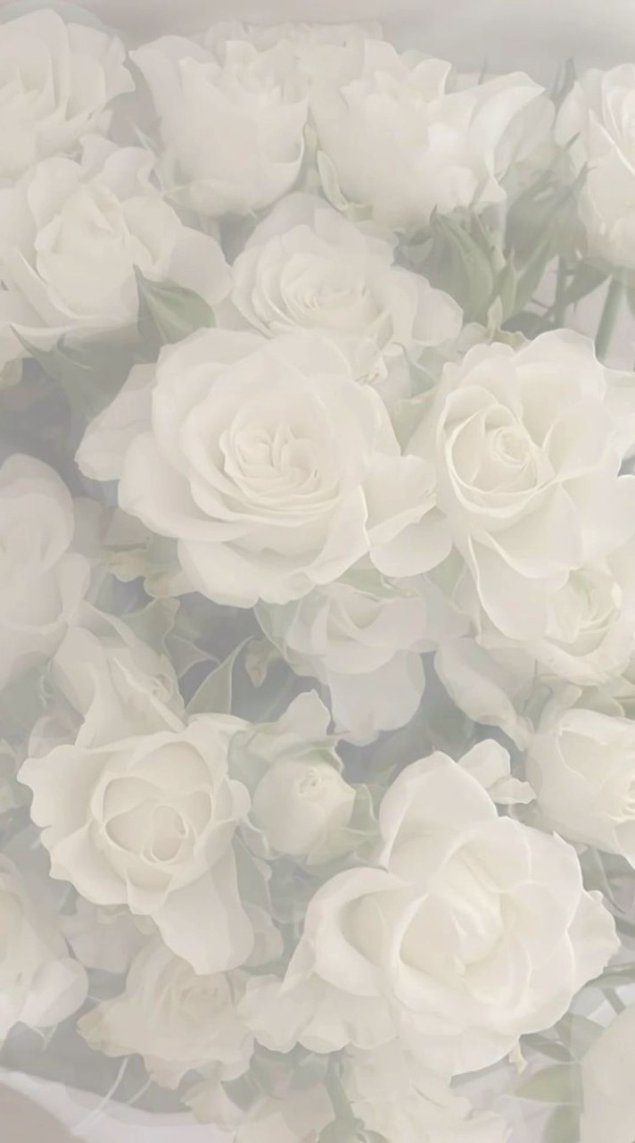 3.20 キャンドルウッズ併せ🐰