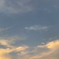 貓貓的家