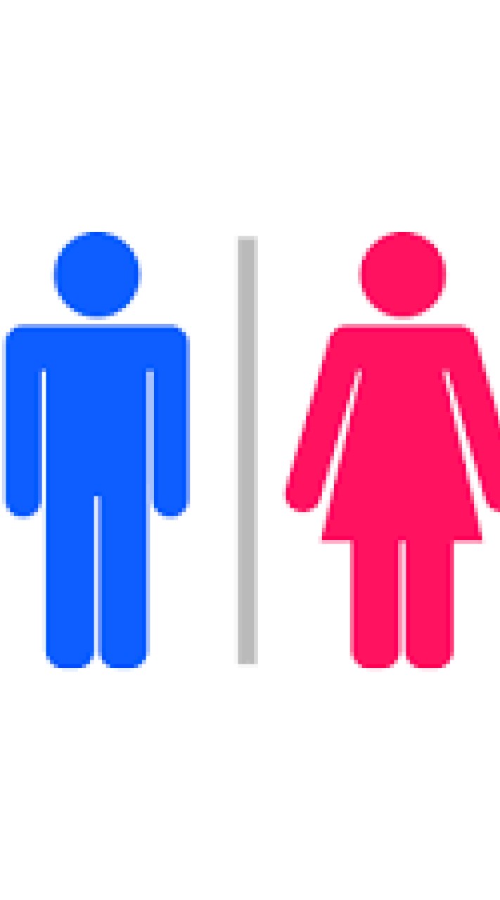 男女東西軍