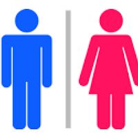 男女東西軍